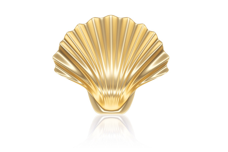 Shell Jewelry