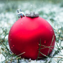 holiday proposals