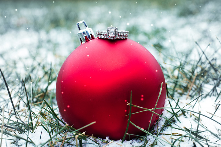 holiday proposals