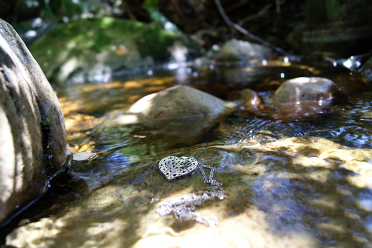 Lost a Piece of Jewelry